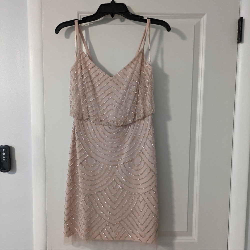 Rose pink Adrianna Papell dress
